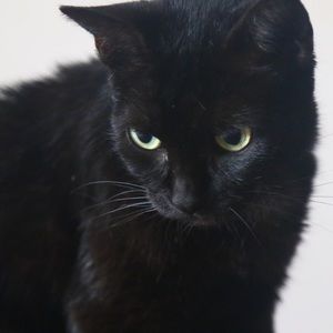 Meet your Posher, Margaret